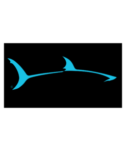 Alternative view of MAKO Aquatics Club Stickers